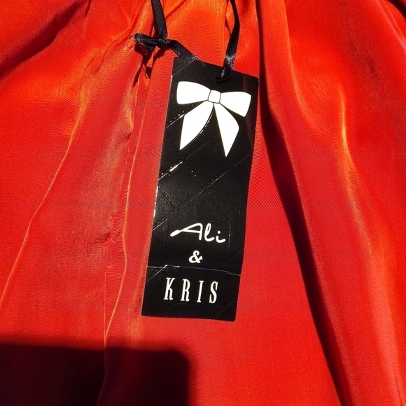 NWT ALI & KRIS dress - Picture 7 of 7